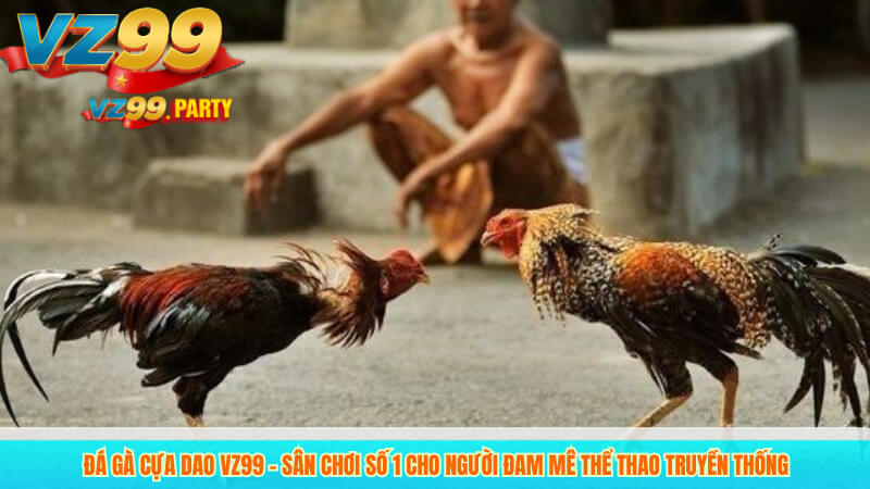 Đá gà cựa dao VZ99 – Trực tiếp và bình luận chuyên nghiệp 3 Đá gà cựa dao VZ99 – Sân chơi số 1 cho người đam mê thể thao truyền thống