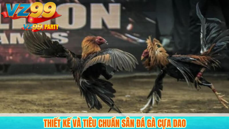 Đá gà cựa dao VZ99 – Trực tiếp và bình luận chuyên nghiệp 6 Thiết kế và tiêu chuẩn sân đá gà cựa dao